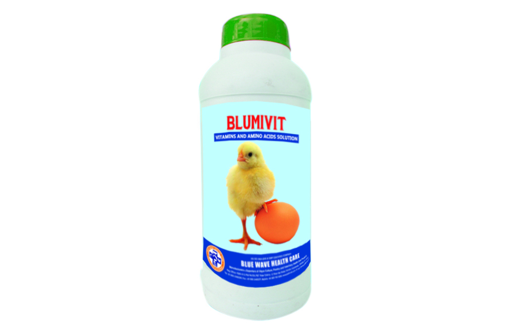 BLUMIVIT (Vitamins and Amino Acids Solution)